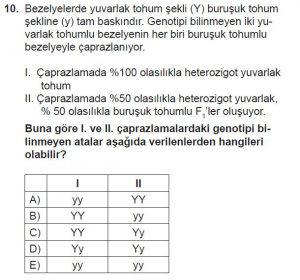 10. Sınıf Biyoloji Test 12 Soru-10