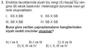 10. Sınıf Biyoloji Test 12 Soru-3
