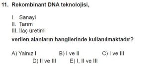 10. Sınıf Biyoloji Test 18 Soru-11