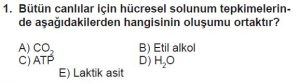 11. Sınıf Biyoloji Test 4 Soru-1