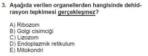 9. Sınıf Biyoloji Test 15 Soru-3