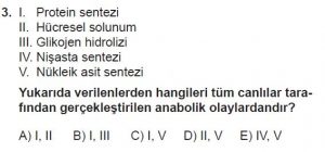 9. Sınıf Biyoloji Test 9 Soru-3