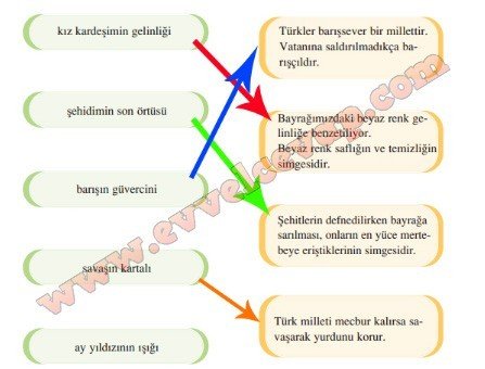 7. sınıf Türkçe Meram Yayınları Bayrak 5. Etkinlik