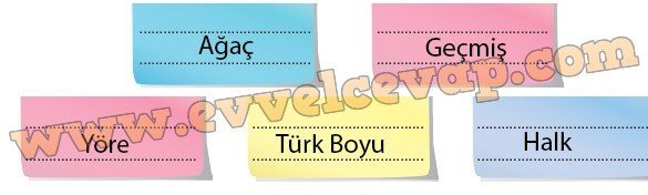 8-sinif-dikey-yayinlari-turkce-kitabi-agac-sevgisi-2-etkinlik-cevaplar