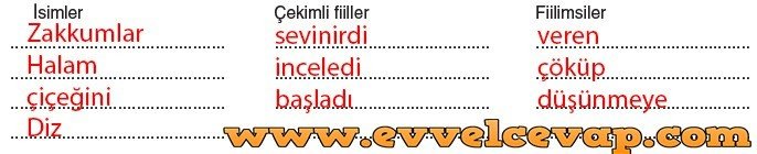 yurdum-metni-15-etkinlik-cevaplari