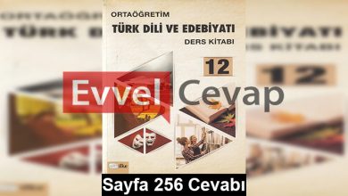 12. Sınıf Türk Dili ve Edebiyatı İlke Yayınları Ders Kitabı Cevapları Sayfa 256