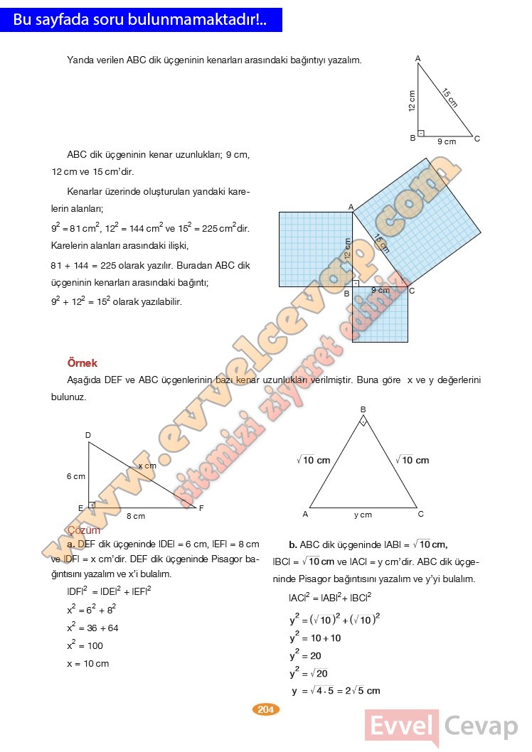 8-sinif-matematik-ders-kitabi-cevabi-berkay-yayinlari-sayfa-204
