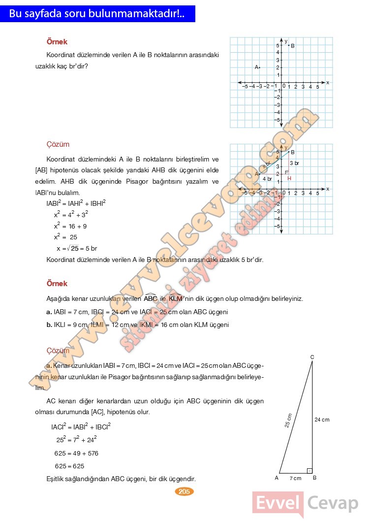 8-sinif-matematik-ders-kitabi-cevabi-berkay-yayinlari-sayfa-205