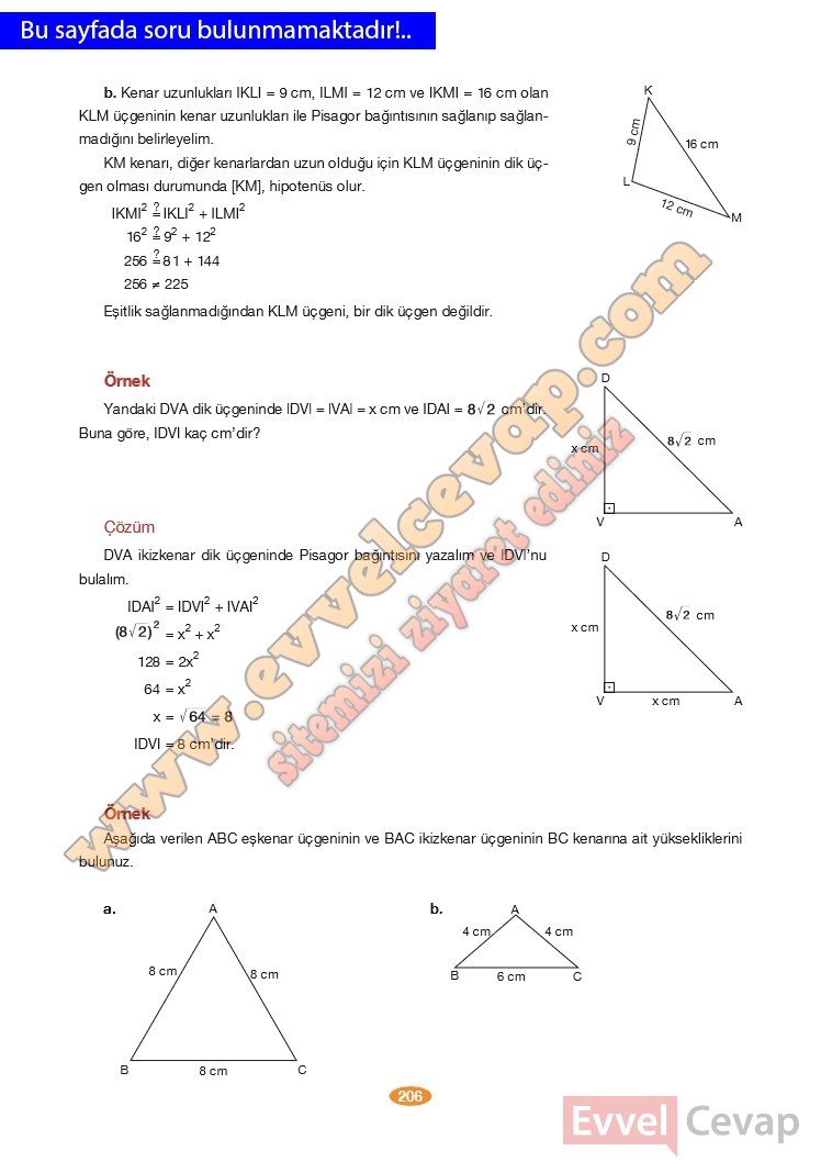 8-sinif-matematik-ders-kitabi-cevabi-berkay-yayinlari-sayfa-206