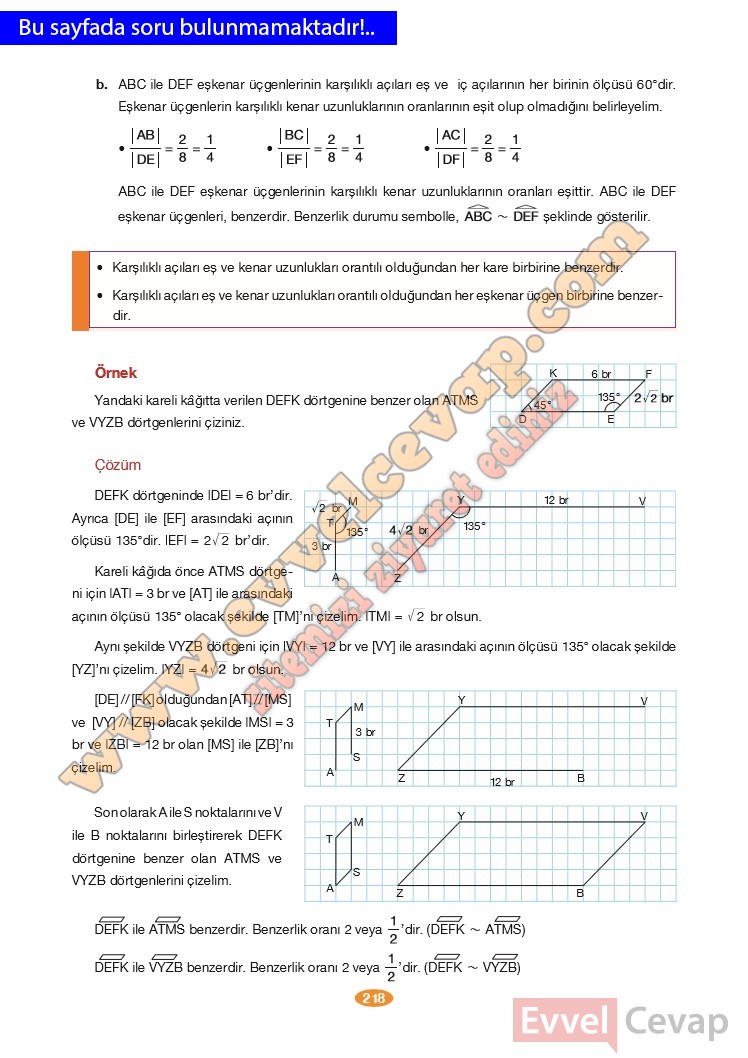 8-sinif-matematik-ders-kitabi-cevabi-berkay-yayinlari-sayfa-218