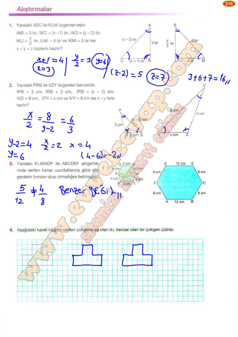 8-sinif-matematik-ders-kitabi-cevabi-berkay-yayinlari-sayfa-219