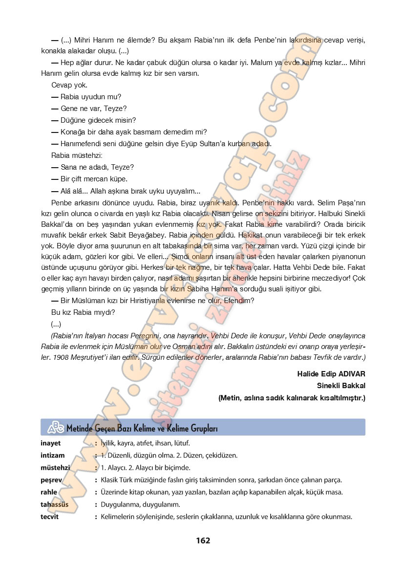 11-sinif-turk-dili-ve-edebiyati-ders-kitabi-cevabi-cem-yayinlari-sayfa-162