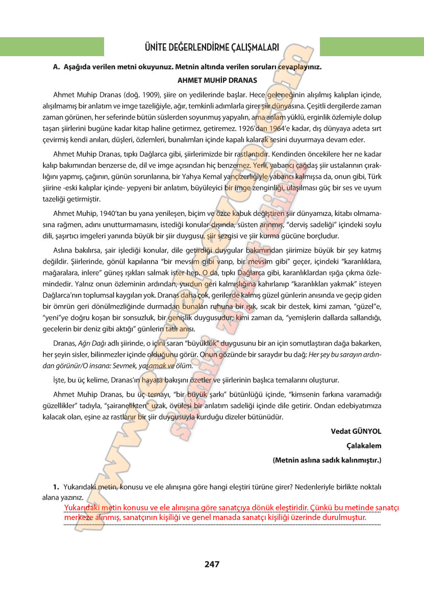 11-sinif-turk-dili-ve-edebiyati-ders-kitabi-cevabi-cem-yayinlari-sayfa-247