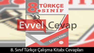 8. Sınıf Türkçe Çalışma Kitabı Cevapları Meb Yayınları