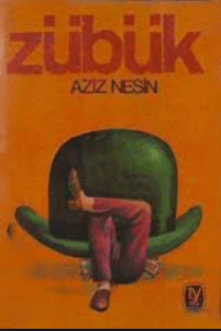 Zübük Romanı