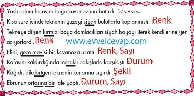 5. Sınıf Ebrucu 3. Etkinlik Sorularının Cevapları