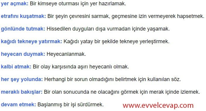 5. Sınıf Ebrucu 6. Etkinlik Sorularının Cevapları