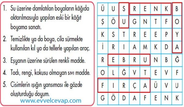 5. Sınıf Ebrucu Bulmaca Sorularının Cevapları
