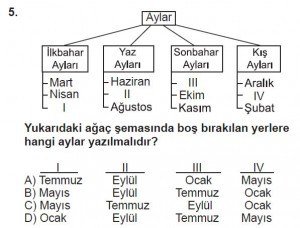 5. Sınıf Matematik kazanım Test 5 soru5