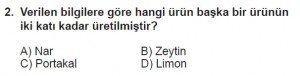 5. Sınıf Matematik kazanım Test 6 soru2