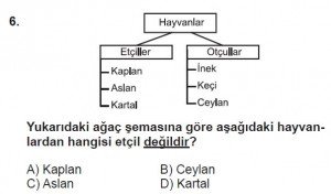 5. Sınıf Matematik kazanım Test 6 soru6
