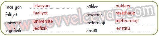 Bando Takımı 4. Etkinlik Cevapları
