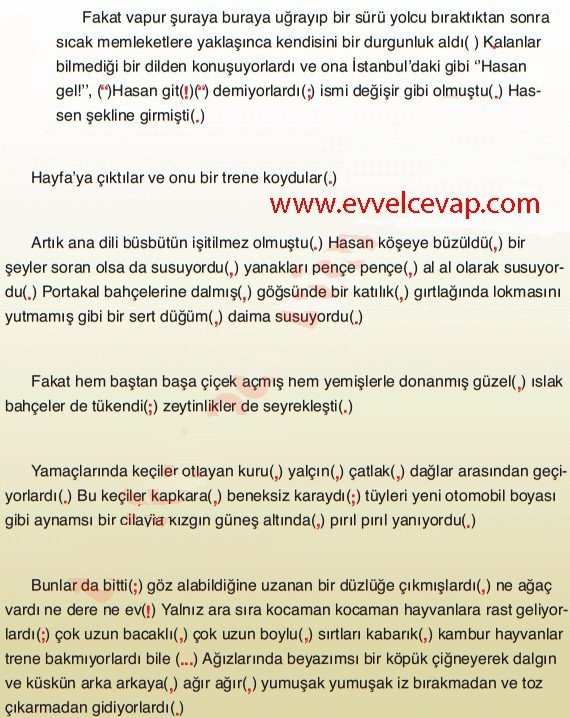 Bir Göl Nasıl Bingöl Oldu 7. Etkinlik Cevapları