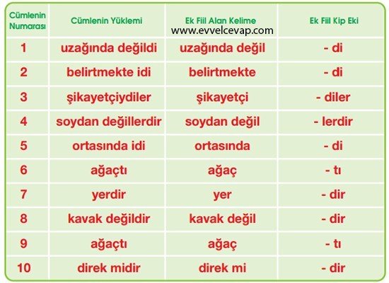 Bir Kavak ve İnsanlar 10. Etkinlik Cevabı