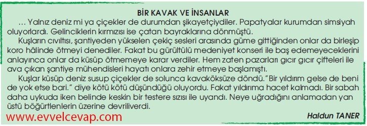 Bir Kavak ve İnsanlar 5. Etkinlik Cevabı