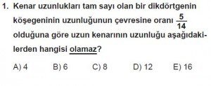 Mezun Matematik kazanım Test 17 soru 1