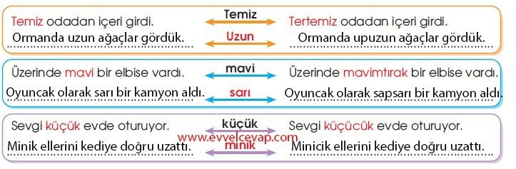 Momo 10. Etkinlik Cevabı