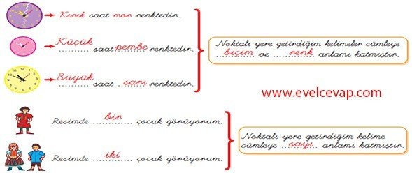 Momo 8. Etkinlik Cevabı