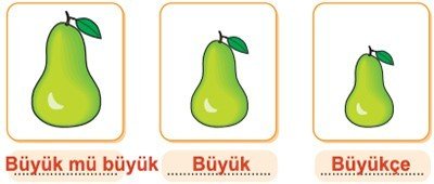 Momo 9. Etkinlik Cevabı