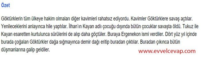 Okuduklarınızı kendi cümlelerinizle mantık akışı içinde özetleyiniz