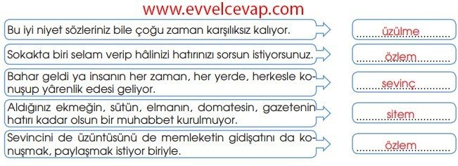 Toplum Hayatı Tema Sonu Değerlendirme Soruları