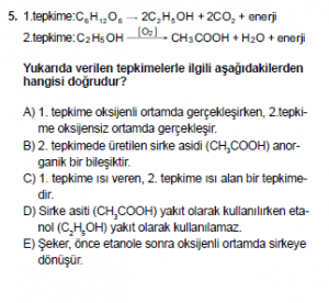 10. Sınıf Kimya Test 16 Soru 5