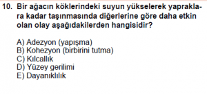 9. Sınıf Fizik Test 7 Soru 10