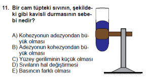 9. Sınıf Fizik Test 7 Soru 11