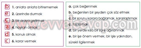 Anadolu’da Konukseverlik Gelenekseldir 2. Etkinlik Cevabı