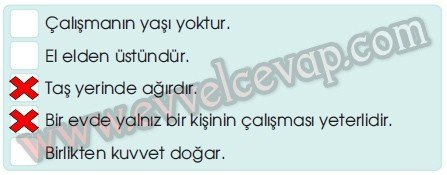 Emine Teyze’nin Çilek Reçeli 6. Etkinlik Cevapları