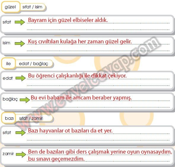Uzay 11. Etkinlik Cevabı