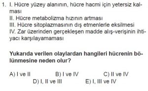 10. Sınıf Biyoloji Test 1 Soru-1