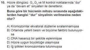 10. Sınıf Biyoloji Test 1 Soru-10
