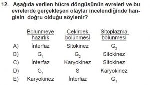 10. Sınıf Biyoloji Test 1 Soru-12
