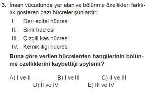 10. Sınıf Biyoloji Test 1 Soru-3