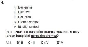 10. Sınıf Biyoloji Test 1 Soru-4
