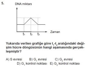10. Sınıf Biyoloji Test 1 Soru-5