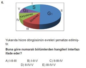 10. Sınıf Biyoloji Test 1 Soru-6