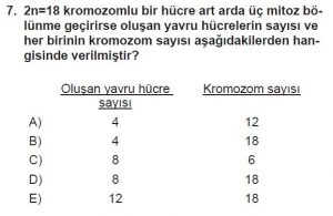 10. Sınıf Biyoloji Test 1 Soru-7