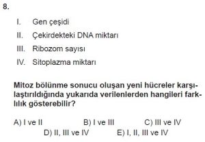 10. Sınıf Biyoloji Test 1 Soru-8